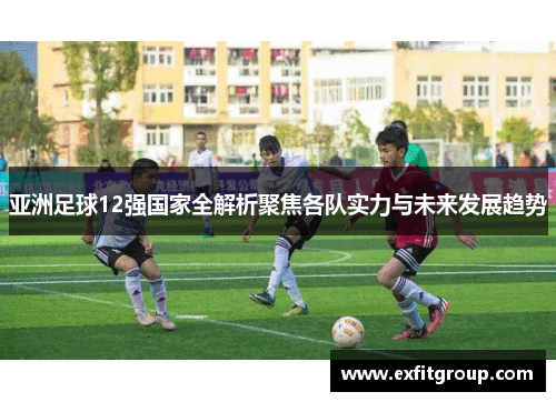 亚洲足球12强国家全解析聚焦各队实力与未来发展趋势