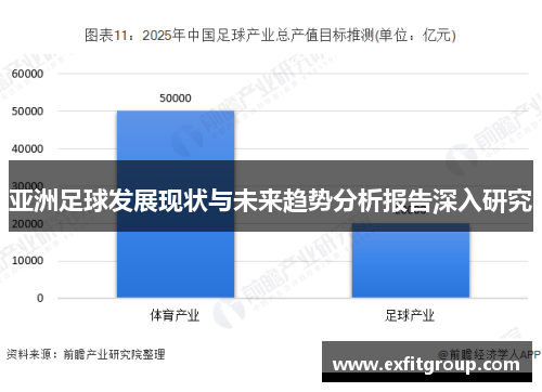 亚洲足球发展现状与未来趋势分析报告深入研究