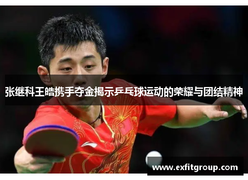张继科王皓携手夺金揭示乒乓球运动的荣耀与团结精神